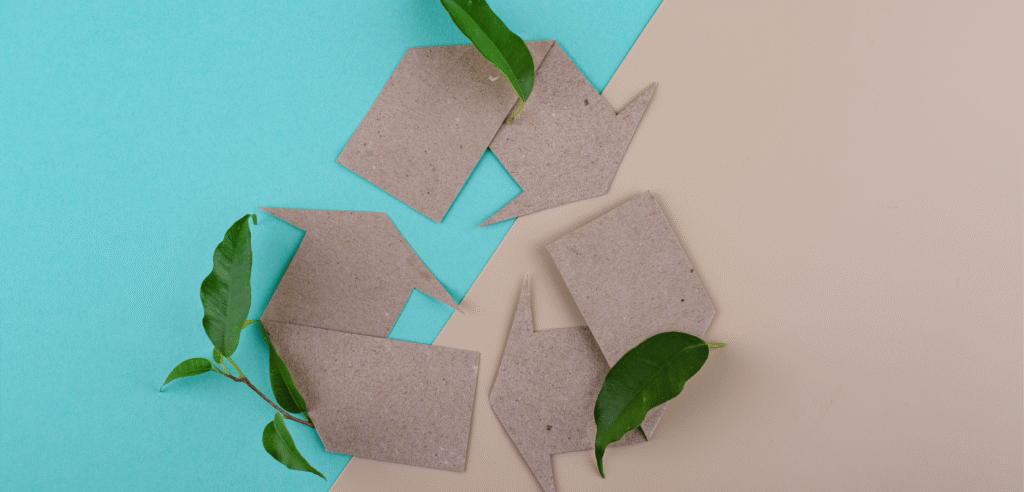 AVS Couriers – Sustainability Commitment and Future Goals